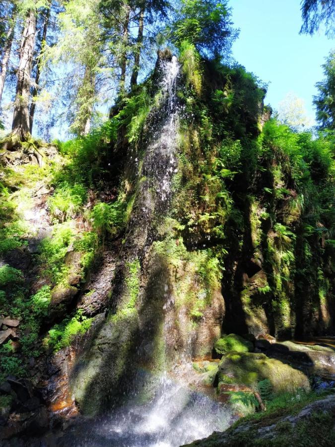 Ferienwohnung Feldberg - Residenz Grafenmatt Εξωτερικό φωτογραφία