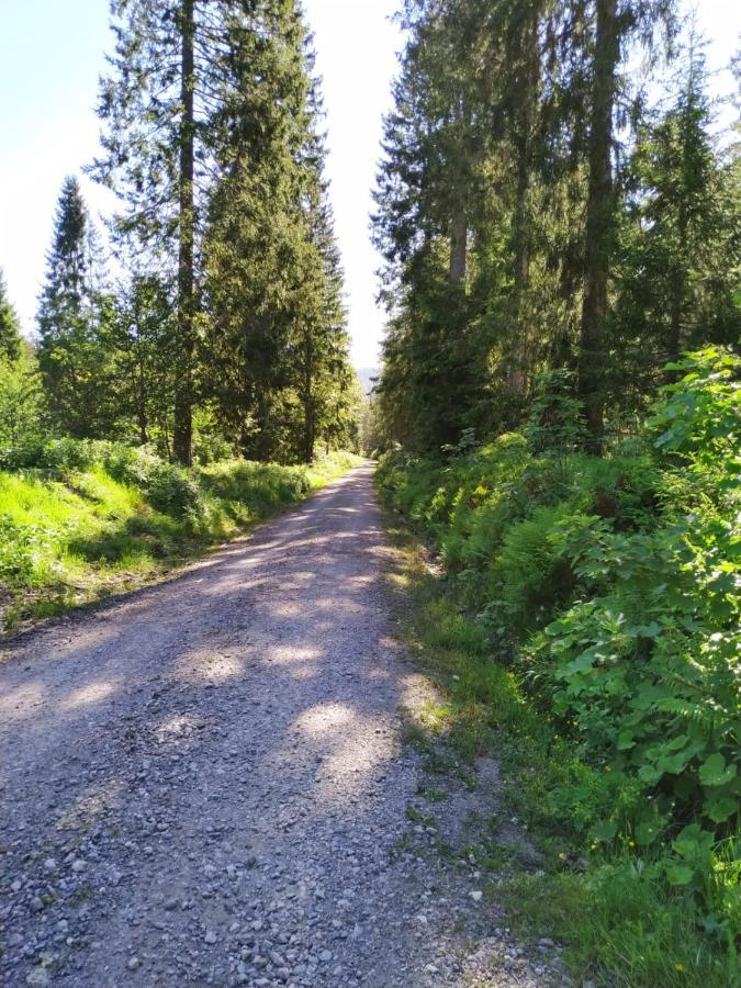 Ferienwohnung Feldberg - Residenz Grafenmatt Εξωτερικό φωτογραφία