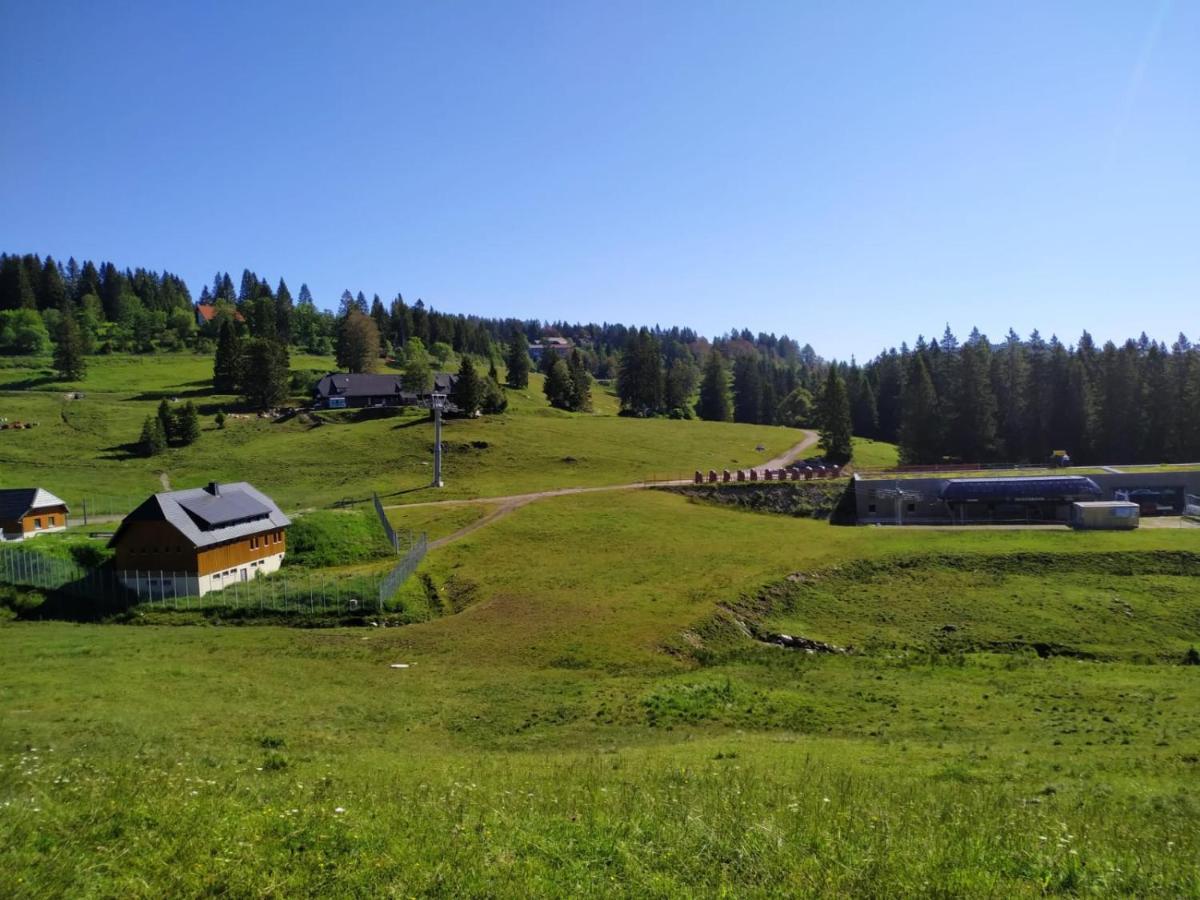 Ferienwohnung Feldberg - Residenz Grafenmatt Εξωτερικό φωτογραφία