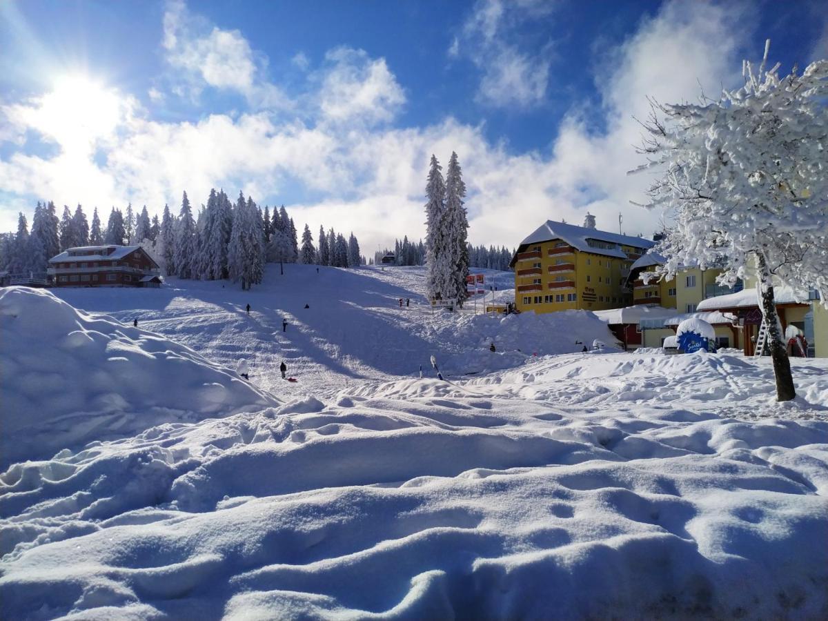 Ferienwohnung Feldberg - Residenz Grafenmatt Εξωτερικό φωτογραφία
